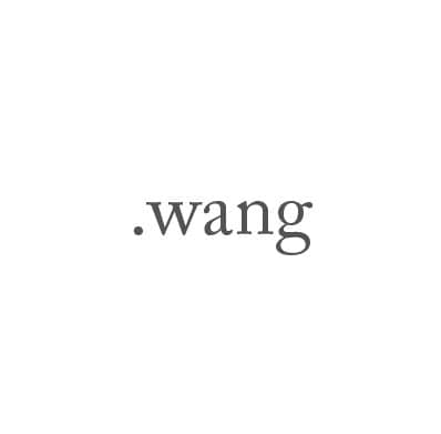 Top-Level-Domain .wang