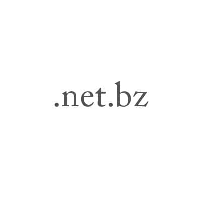 Top-Level-Domain .net.by