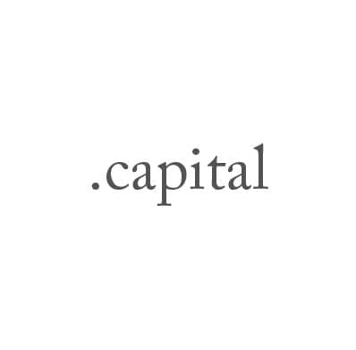 Top-Level-Domain .capital