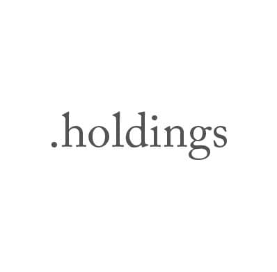 Top-Level-Domain .holdings