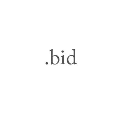 Top-Level-Domain .bid